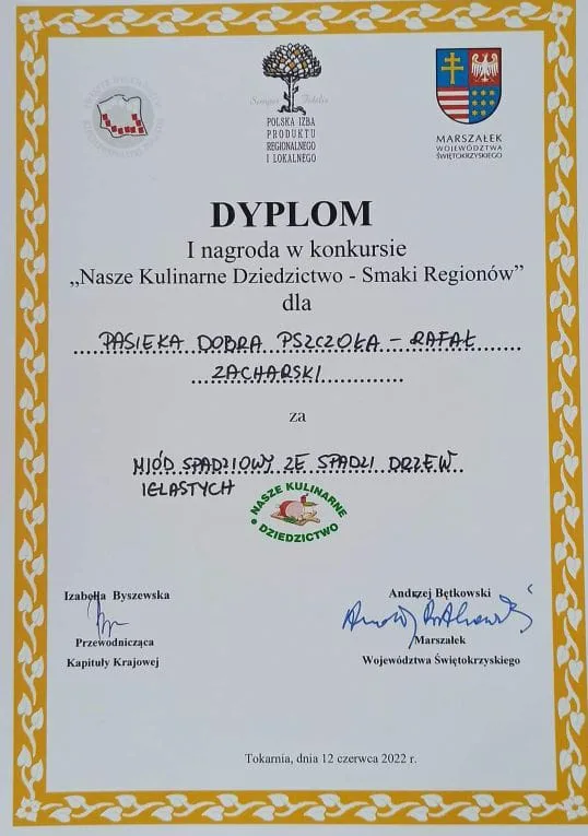 Dyplom MTP 2021